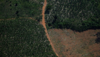 Amazônia Legal registra recorde de desmatamento para abril